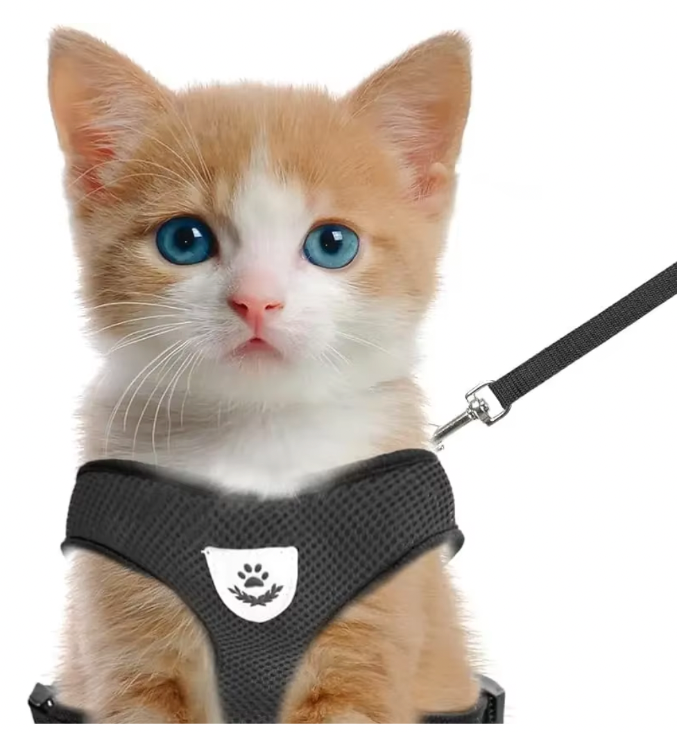 Adjustable Cat & Dog Harness – Comfortable Walking Vest for Small & Medium Pets