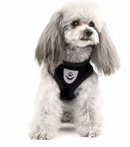 Adjustable Cat & Dog Harness – Comfortable Walking Vest for Small & Medium Pets